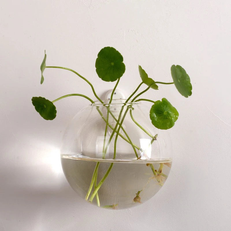 Transparent Glass Vase Wall Hanging Hydroponic Container Terrarium Fish Tanks Potted Plant Flower Pot Home Garden Decorations