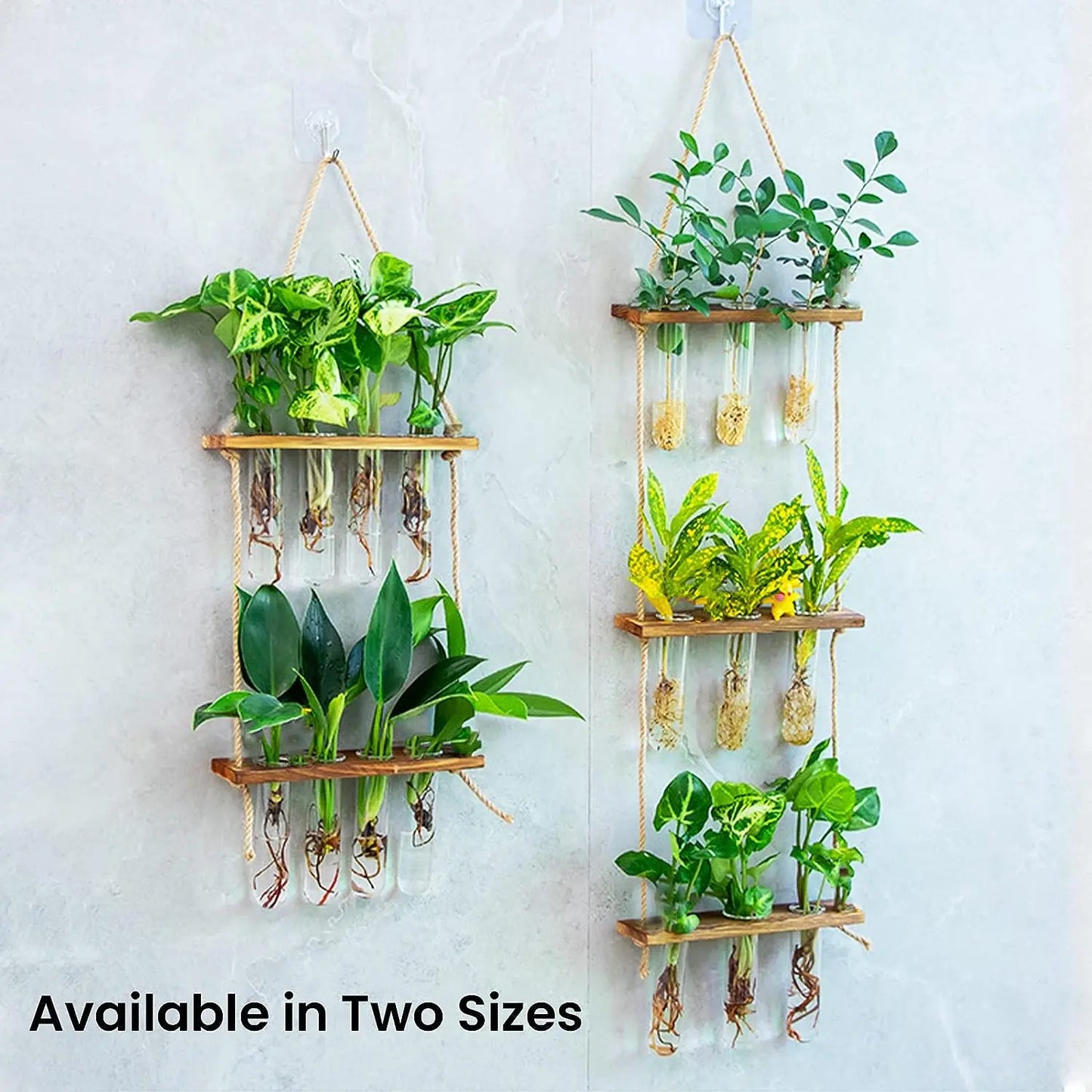 Wall Hanging Test Tube, Glass Planter Plant Vase with Wooden Stand & Strings Rope, Glass Planter Plant Terrarium (2 layer)
