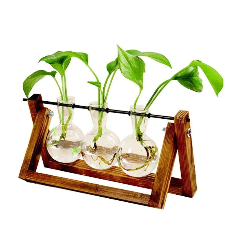 Bonsai Decor flower vase Plant Transparent Vase Wooden Frame vase decoratio Glass Tabletop Plant flower shaped bowl