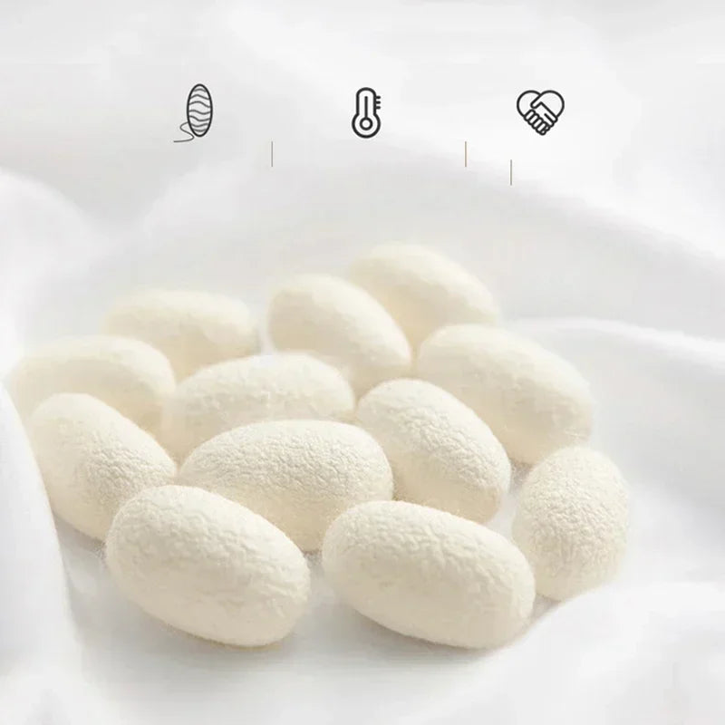 Trapunta di seta a gelso naturale per inverno autunno di fascia alta di fascia alta con piumino da seta al 100% di seta addensato con piumino in tessuto di cotone jacquard