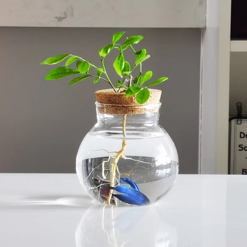 Creative Hydroponic Glass Vase Transparent Micro Landscape Fish Tank Decoration Green Pineapple Hydroponic Plant Handicraft
