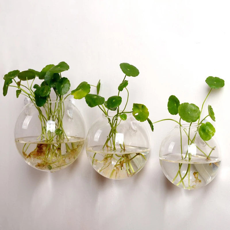 Transparent Glass Vase Wall Hanging Hydroponic Container Terrarium Fish Tanks Potted Plant Flower Pot Home Garden Decorations