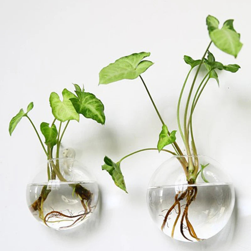 Transparent Glass Vase Wall Hanging Hydroponic Container Terrarium Fish Tanks Potted Plant Flower Pot Home Garden Decorations
