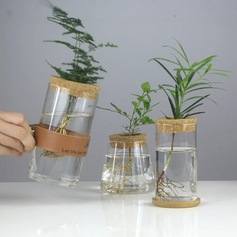 Creative Hydroponic Glass Vase Transparent Micro Landscape Fish Tank Decoration Green Pineapple Hydroponic Plant Handicraft