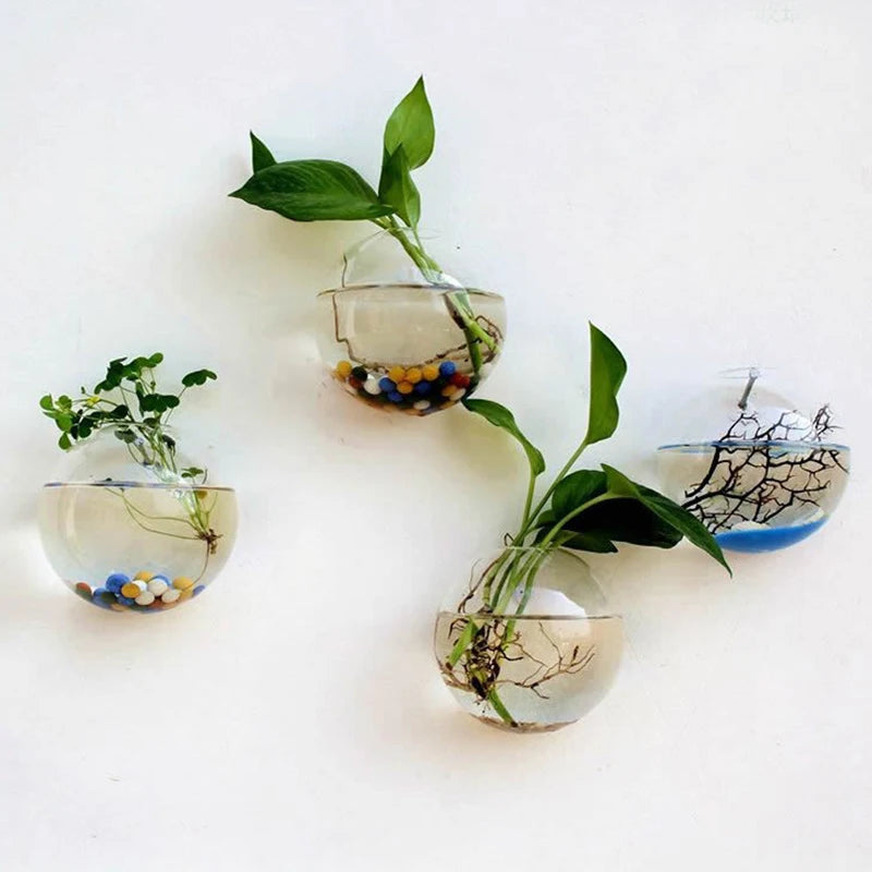 Transparent Glass Vase Wall Hanging Hydroponic Container Terrarium Fish Tanks Potted Plant Flower Pot Home Garden Decorations