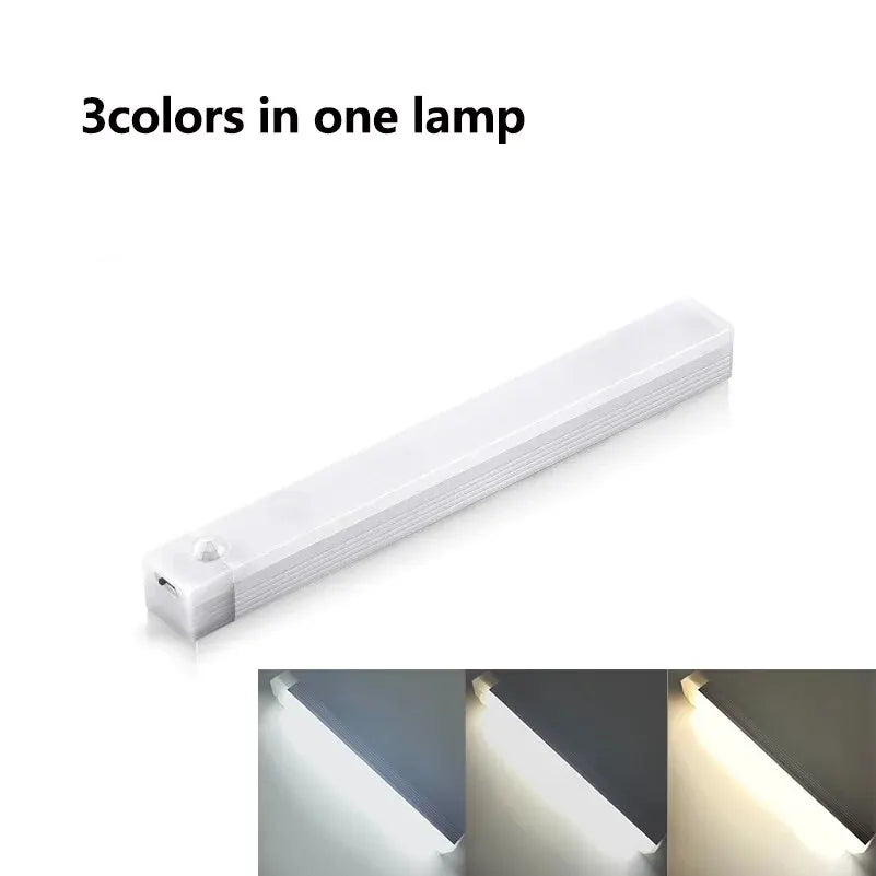 54038667985245|54038668116317|54038668181853|54038668214621