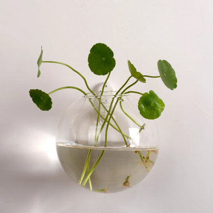 Transparent Glass Vase Wall Hanging Hydroponic Container Terrarium Fish Tanks Potted Plant Flower Pot Home Garden Decorations