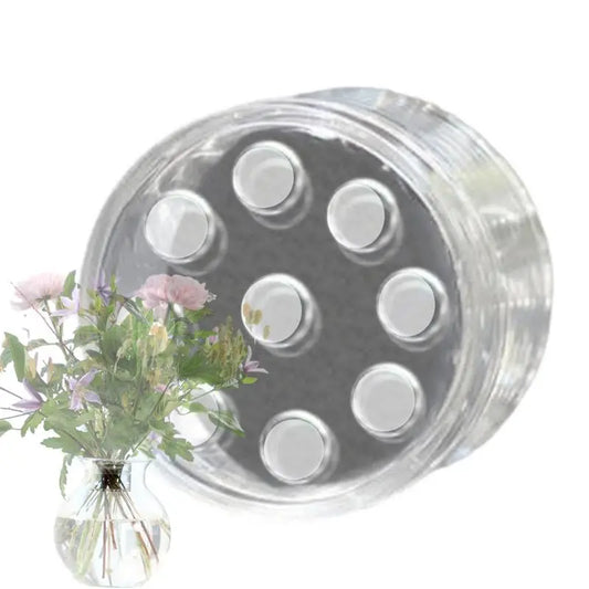 Spiral Ikebana Stem Holder Spiral Stem Holder for Vases Flower Arrangement Holder for Home and Office Decoration Flower