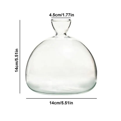 Avocado Seed Starter Vase Transparent Glass Vase Vase for Growing Plant Glass Seed Growing Kit for Gardening Lovers