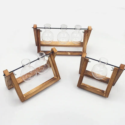 Bonsai Decor flower vase Plant Transparent Vase Wooden Frame vase decoratio Glass Tabletop Plant  flower shaped bowl