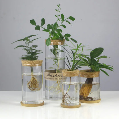 Creative Hydroponic Glass Vase Transparent Micro Landscape Fish Tank Decoration Green Pineapple Hydroponic Plant Handicraft